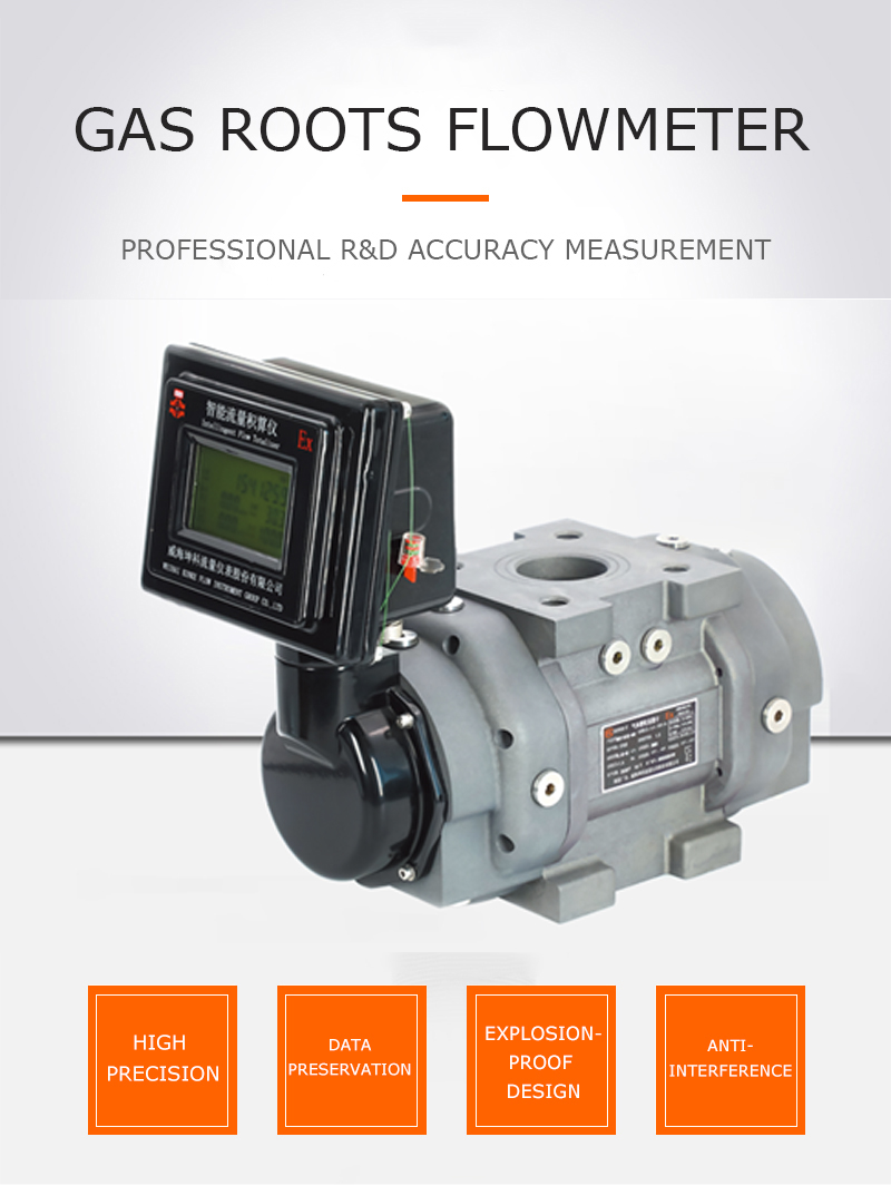 罗茨流量计2_01 拷贝 罗茨流量计2_01 拷贝