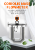 Stainless Steel Liquefied Gas Flowmeter 4-20mA RS485 Communication HART Protocol Mass Flowmeter